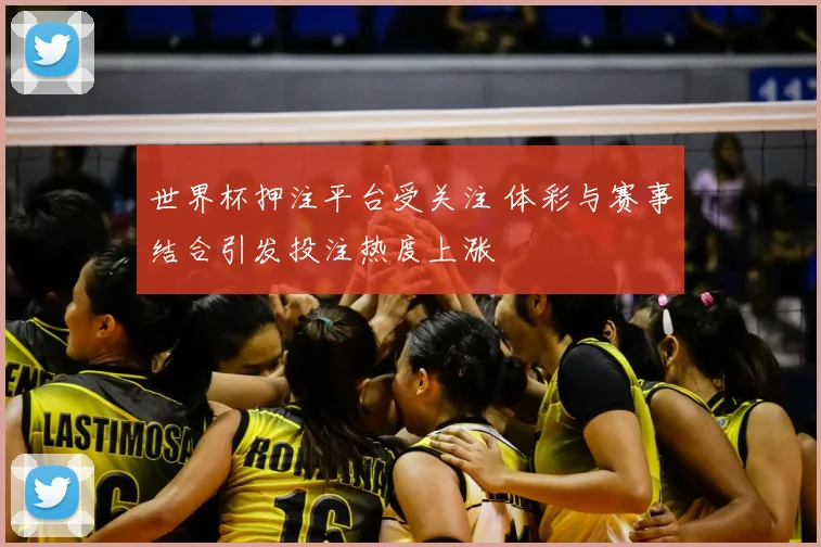 世界杯押注平台受关注 体彩与赛事结合引发投注热度上涨