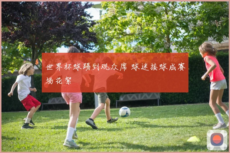 世界杯球踢到观众席 球迷接球成赛场花絮