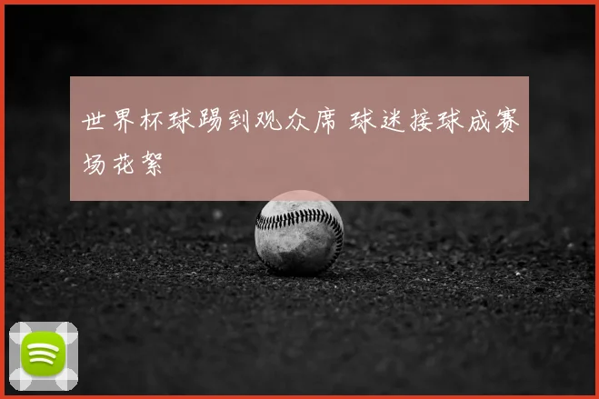 世界杯球踢到观众席 球迷接球成赛场花絮