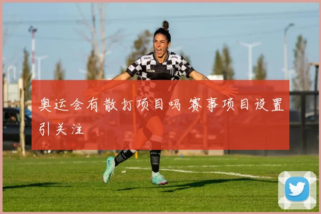 奥运会有散打项目吗 赛事项目设置引关注