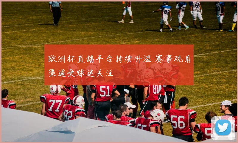 欧洲杯直播平台持续升温 赛事观看渠道受球迷关注