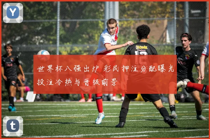 世界杯八强出炉 彩民押注分配曝光投注冷热与晋级前景