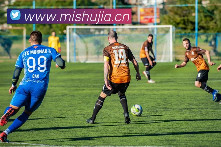 开云在线官方网站发展历程